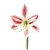 6 x A6 Cards & Envelopes - 6 Designs - Image 7