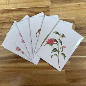 6 x A6 Cards & Envelopes - 6 Designs