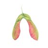 6 x A6 Cards & Envelopes - 6 Designs - Image 3